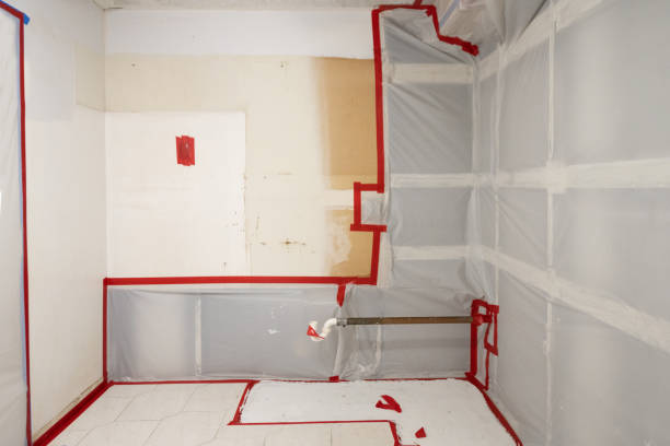 Best Post-Construction Mold Inspection  in West Terre Haute, IN