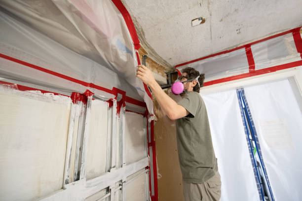 Best Crawl Space Mold Remediation  in West Terre Haute, IN