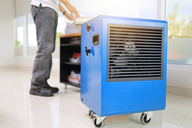 Best Attic Mold Removal  in West Terre Haute, IN