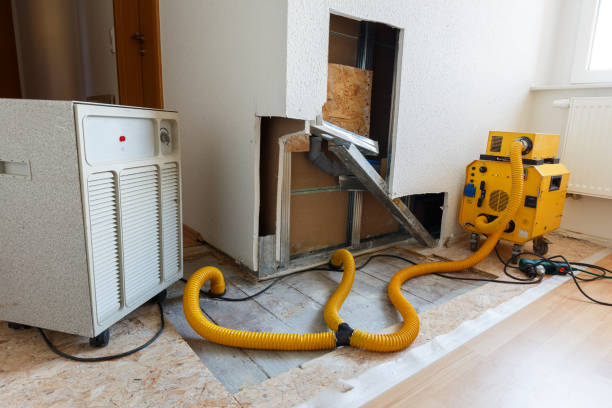 Best Mold Prevention Services  in West Terre Haute, IN